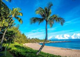 The Ritz-Carlton Maui, Kapalua 5
