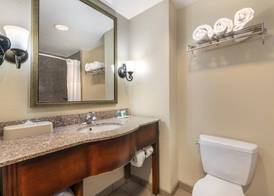 Comfort Suites Ocala North 5