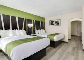 Quality Suites Albuquerque Airport 5