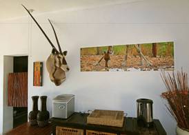 Normann Safari Bush Lodge 4