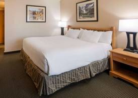 Best Western Sheridan Center 4