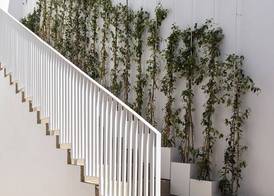 Ethos Vegan Suites Fira, Santorini 5