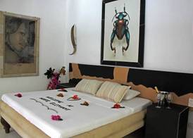 White Elephant Sea Lodge 4