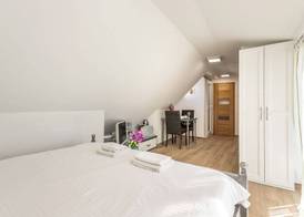 Apartments and Rooms Villa Erede 3