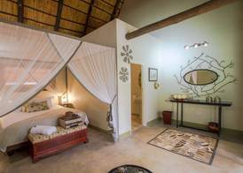Nguni Lodge 5