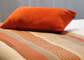 Best Western Plus Hôtel & Spa de Chassieu 4