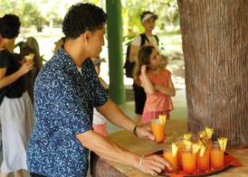 Turtle Beach Lodge 3