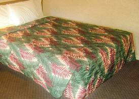 Alma Motel Alma 4