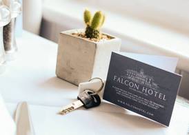 The Falcon Hotel 4