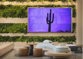 The Westin Tempe 4