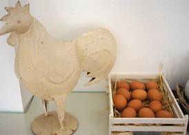 Cyclades 5