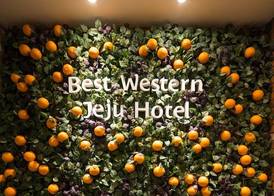 Best Western Jeju Hotel 2