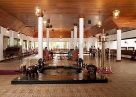 Elephant Court Thekkady 3