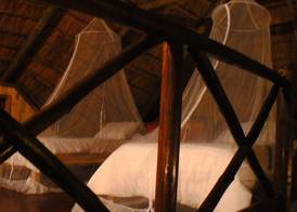 Lion Tree Bush Lodge 3