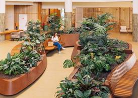 Falésia Hotel - Adults Only 3