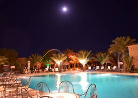 Palm's Club 4