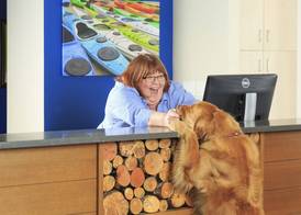 Accent Inns Kelowna 4
