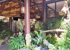 Birds and Bees Resort 4