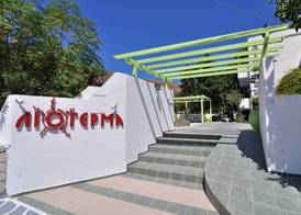 Liogerma 4