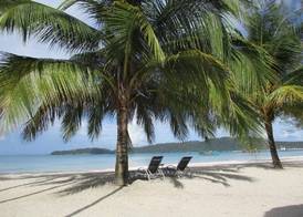 Saracen Bay Resort 4