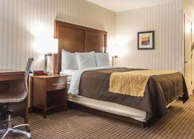 Quality Inn Half Moon Bay-Miramar Beach 3