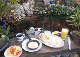 Bareque hostal 3