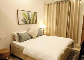 Pennylane Hotel 3