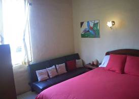 La Casa Amarilla 5