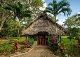 Bocawina Rainforest Resort 3