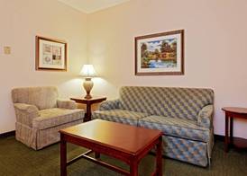 Holiday Inn Express & Suites SAN ANTONIO SOUTH by IHG 4