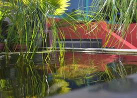 Piton Bungalows Ecolodges 2