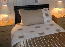 Springfield B&B 2