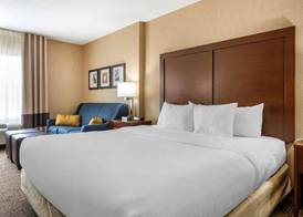 Comfort Inn Meadowlands 4