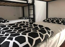 St Kilda Accommodation 5
