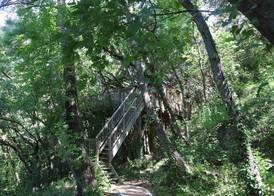 Orion Treehouses 3
