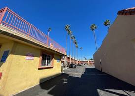 Palm Tree Inn 5