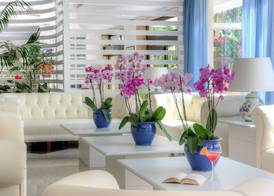 Hotel Caravel 4