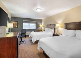 Best Western PLUS Cotton Tree Inn 5