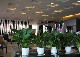 Best Western Hotel Goldenmile Milan 3