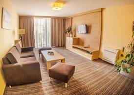 Alexandra Business Hotel 4