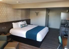 The Hotel Y, a Dazzler Select by Wyndham 3