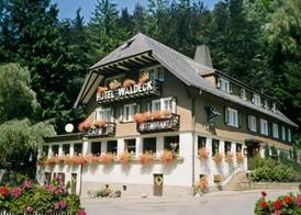 Hotel Waldeck in Todtnau 5