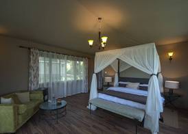 Ngorongoro Lion's Paw 4
