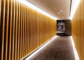 Hotel Pax Guadalajara 5