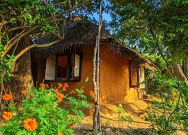 Yala Jungle Haven 5
