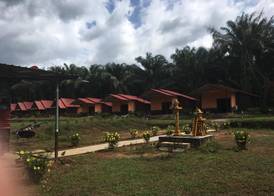 Khao Sok Evergreen House 4