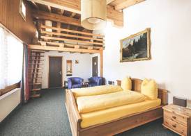 Hotel Alpina 5