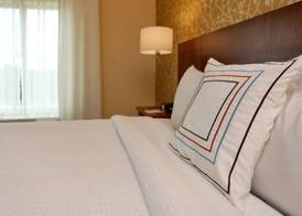 Fairfield Inn & Suites by Marriott Greenville 4