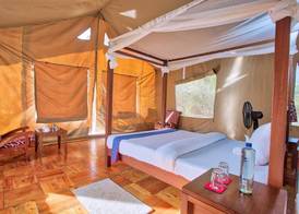 Borabora Luxury Tented Camp 4