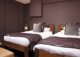 The Peacock 3